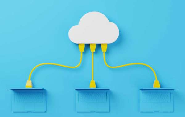 What are the special features of Cloud Computing?