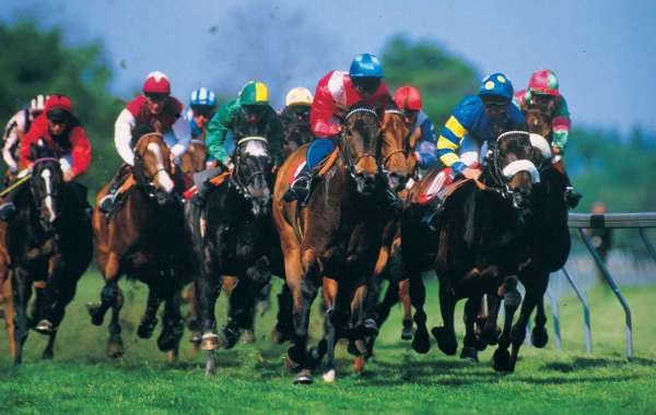 Topracetips: Your Ultimate Guide to Horse Racing Tracks and Names for Horse Races